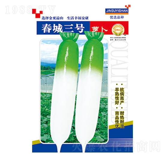 蘿卜種子-春城三號-太樂種業(yè)