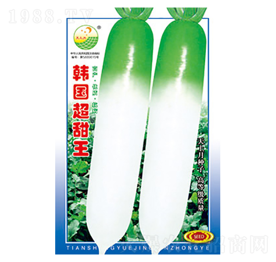 蘿卜種子-韓國(guó)超甜王-太樂種業(yè)