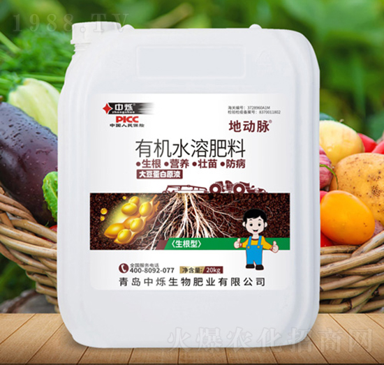 大豆蛋白原液-地動脈-中爍生物