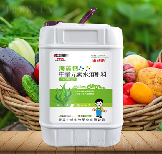 海藻鈣-田動(dòng)脈-中爍生物