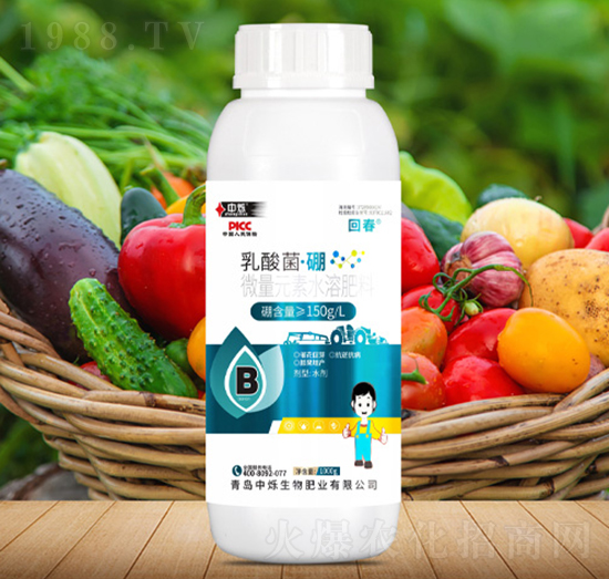 乳酸菌·硼-回春-中爍生物