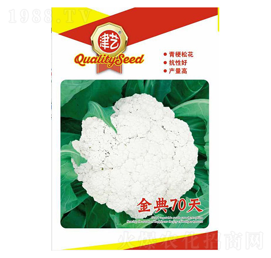 花菜種子-金典70天-邯豐農(nóng)業(yè)