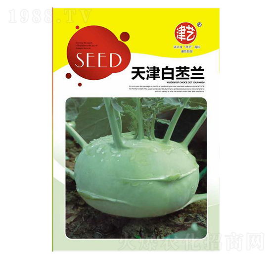 ���{�N��-�������{-���S�r�I(y��)