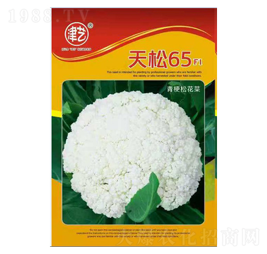 花菜種子-天松65-邯豐農(nóng)業(yè)
