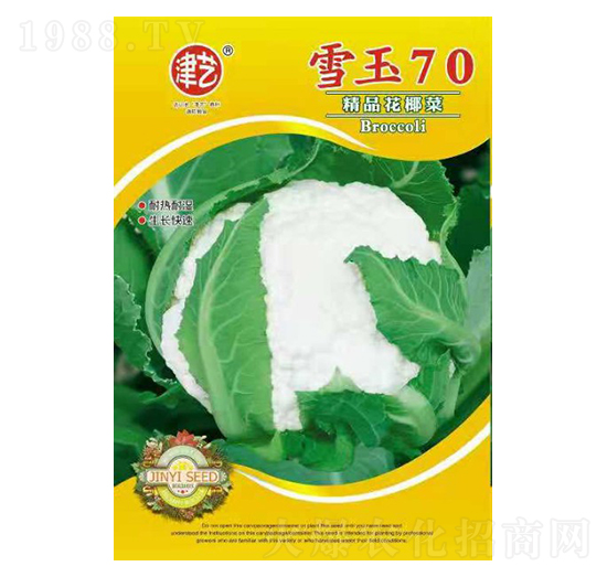 花菜種子-雪玉70-邯豐農(nóng)業(yè)