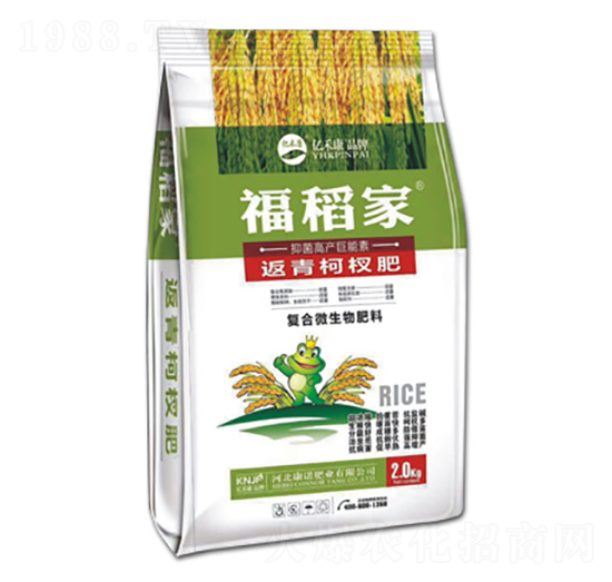 返青柯杈肥-福稻家-康諾肥業(yè)