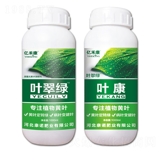 專注植物黃葉-葉翠綠+葉康-康諾肥業(yè)