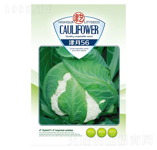 ���˷N��-����56-���S�r�I(y��)