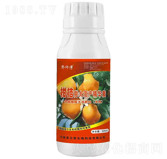 柑桔膨大高產精華素-郭師傅-立信生物