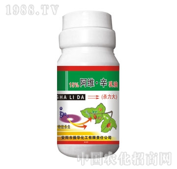 ���A����-���S��