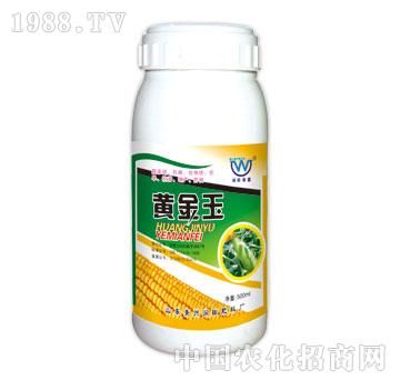 潤(rùn)田-黃金玉