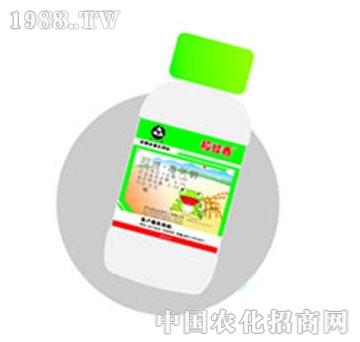 ����-������