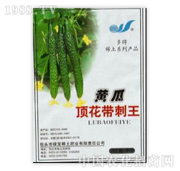 綠寶-黃瓜頂花帶刺王