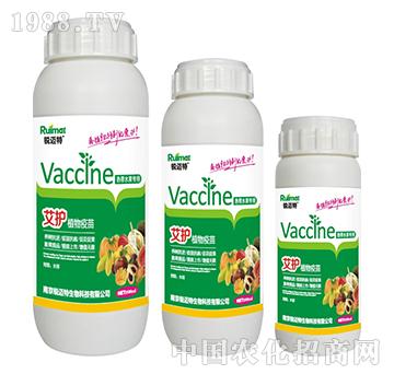 ���oֲ�������Ϸ�ˮ����