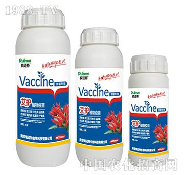 ���oֲ��������������-