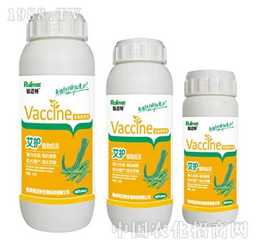 ���oֲ�����綹�ǌ���-