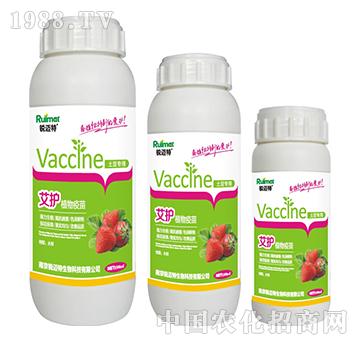 ���oֲ�������ݮ����-�J�~��