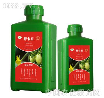 ������������������Һ��