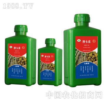 ʯ�����ð���������Һ��