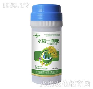 水稻一坰地-為峰