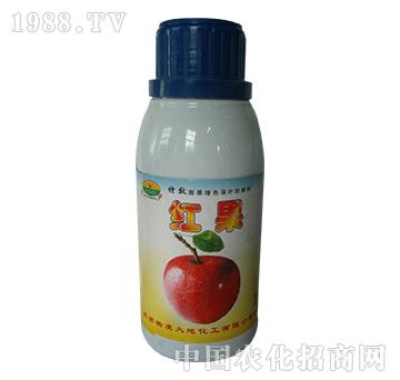 �t��-�W��˹