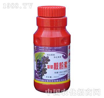 �����n����-�W��˹