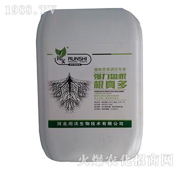 �����P�������-�c��