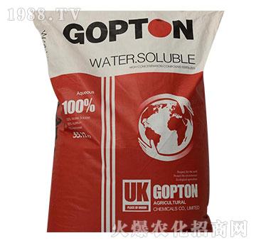 ���D����Ԫ��ˮ�ܷ�19-19-19+TE-��ɪ��