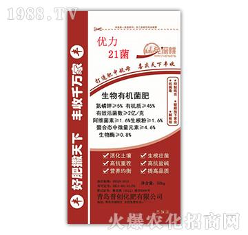 �����ЙC����-�Մ�(chu��ng)