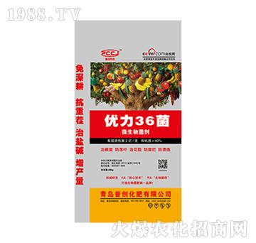 ��(y��u)��36��-�Մ�(chu��ng)