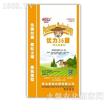 優(yōu)力36菌（大田作物菌劑）-普創(chuàng)