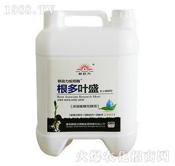 根多葉盛-新啟力