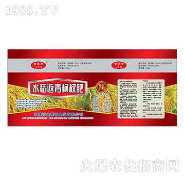 水稻返青柯杈肥-金泰亨