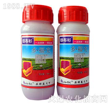 30%�����-�F����-�읙����