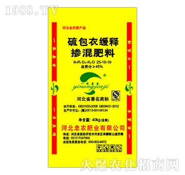 ����¾�ጓ����25-10-10-���r�ʘI(y��)