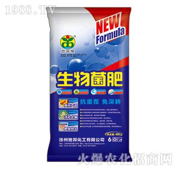 �������-�ذ�Ȫ