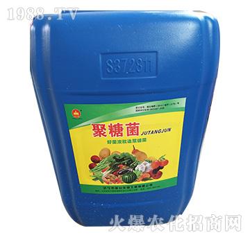 ���Ǿ�-��ɽ����