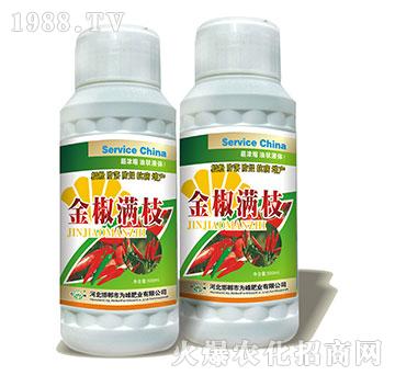 �𽷝M֦-�����~���-