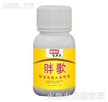 �ָ裨���o����������
