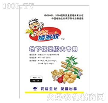 ���¸��o�����-�r(n��ng)�_