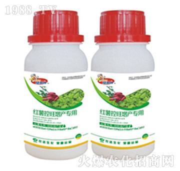 �t���������a(ch��n)����-�r(n��ng)�_