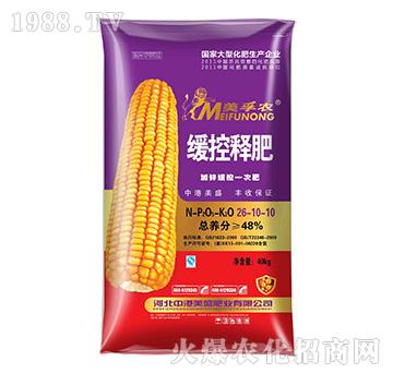 �����r����ጷ�26-10-10