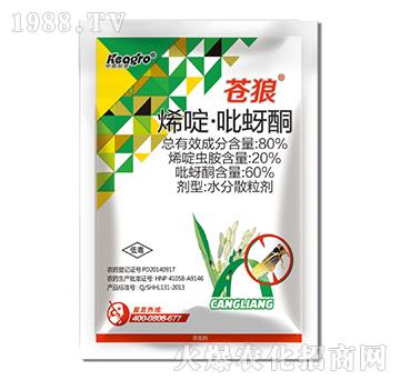 80%ϩड�����ͪ-�n��-���¿��r