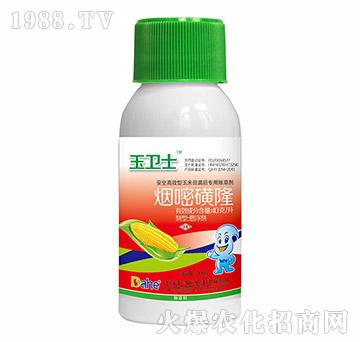 ���׻�¡-���l(w��i)ʿ-�hҊ