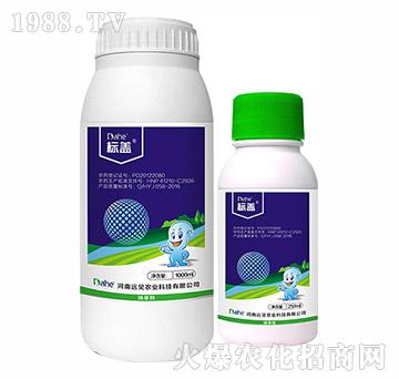 �̱��Ƴ��݄�-��Ә��w