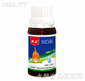 �����Գ��݄�-����-�h