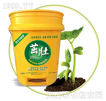 �ѣ�΢������ʣ�-�Ԡ��G��