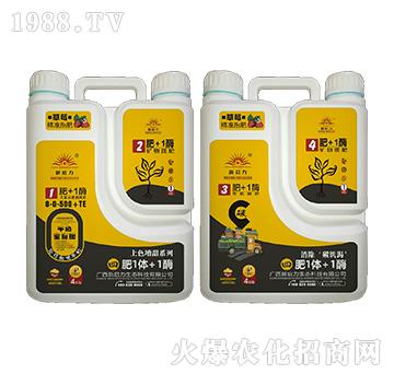 ��ݮ��(zhu��n)�ã���ɫ����-