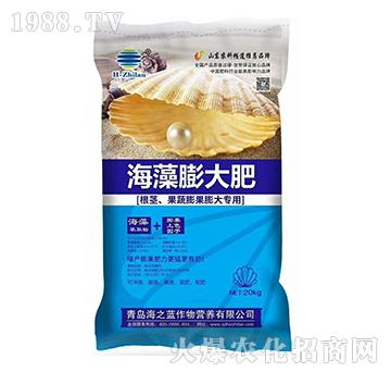 ��������-��֮�{