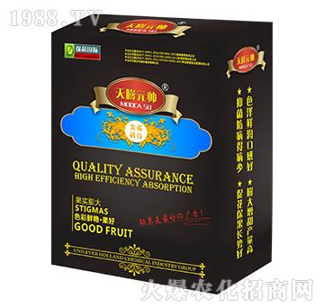 ����Ԫ��-��о���H